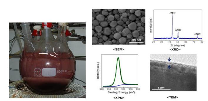 5000 ml 스케일로 합성된 Cu나노입자의 SEM, XRD Pattern, XPS, TEM 분석결과