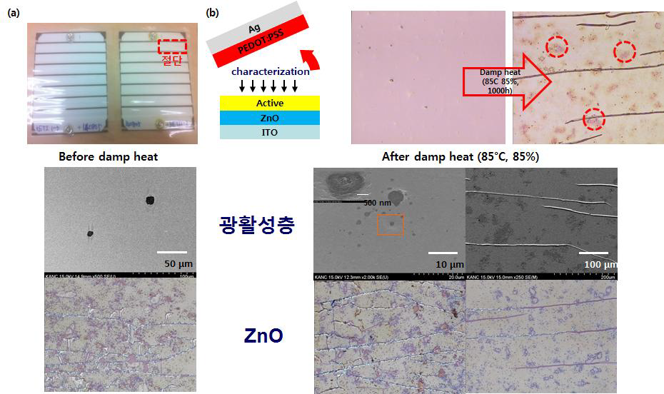 PEDOT:PSS의 formic acid에 의한 광활성층, ZnO 및 ITO 에칭