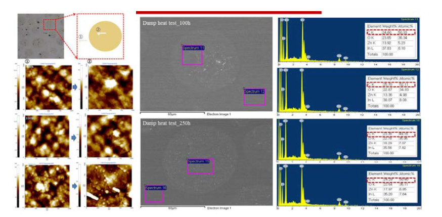 Damp-heat 시험 후 aggregation 부분 morphology & 성분 분석