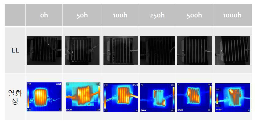버튼 실링 전 모듈 85 ℃, 85 % 항온/항습 조건에서 시간에 따라 분석한 EL, 열화상 이미지