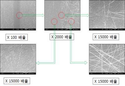 PEDOT + AgNW 나노소재 투명전극 패터닝 태스트 샘플 SEM 이미지