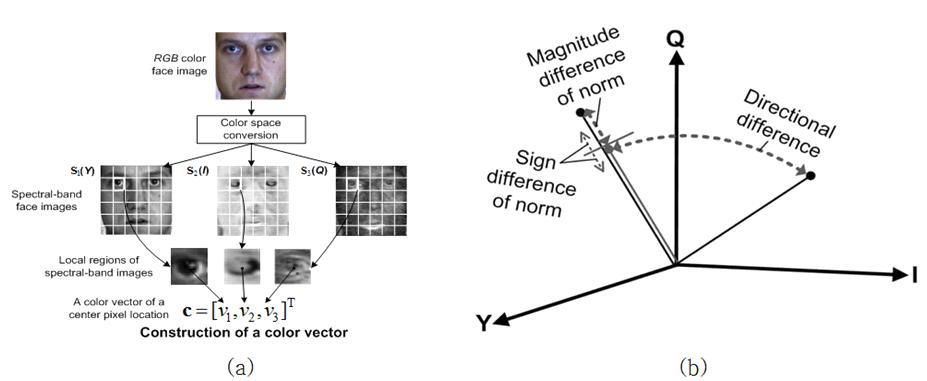 컬러기반 특징 추출. (a) 얼굴의 컬러 벡터 추출, (b) 컬러 기반 특징 추출