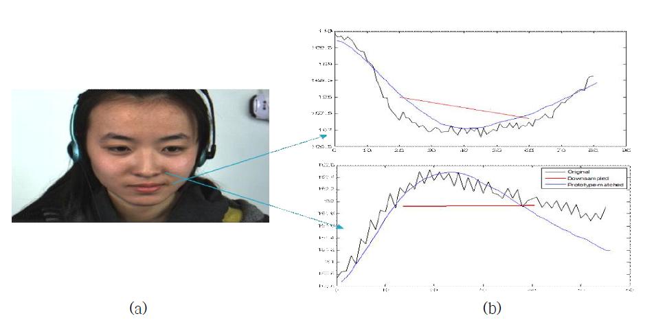 (a) 얼굴 영상, (b) 지역별 픽셀값 복원. (b)에서 붉은 선, 푸른 선, 검은 선은 under-sampled된 픽셀 값, 복원된 픽셀 값, ground-truth 픽셀 값을 각각 나타낸다.