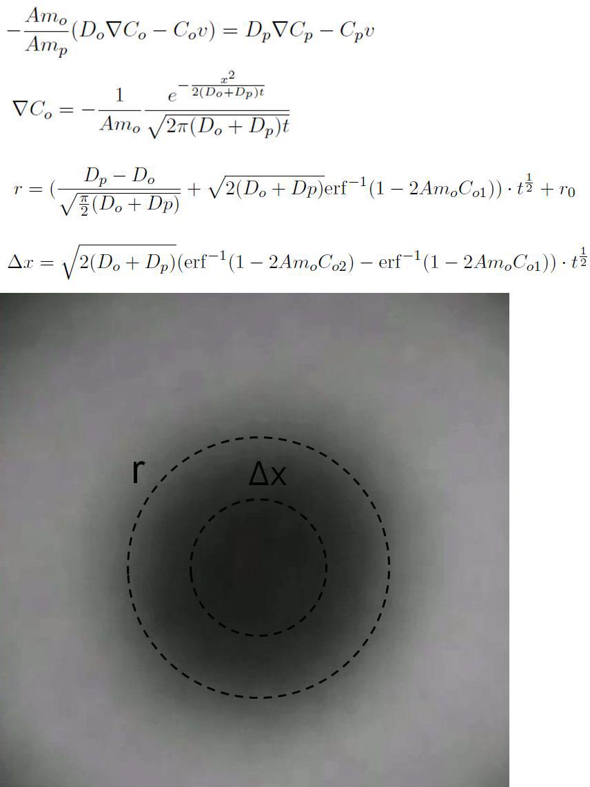 계면활성제 막간의 mutual diffusion coefficient를 도출하기 위한 반지름과 특정 농도선의 변화와 mutual diffusion coefficient와의 관계