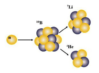 중성자와 B-10 반응