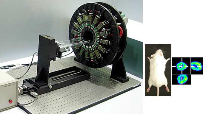 소 동물용 PET 시제품 모형