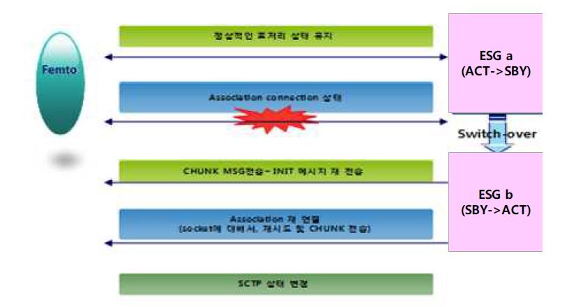 이중화 동작시 SCTP association 처리 과정