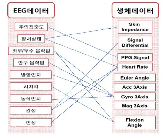 뇌파 신호와 생체 신호간의 Correlation 설정