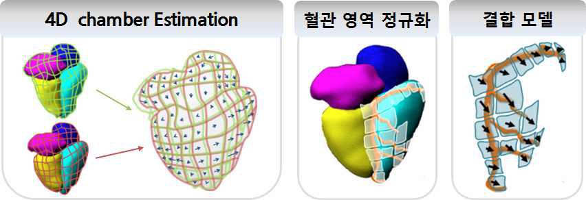 4D Estimation과 혈관 영역 정규화의 결합 모델