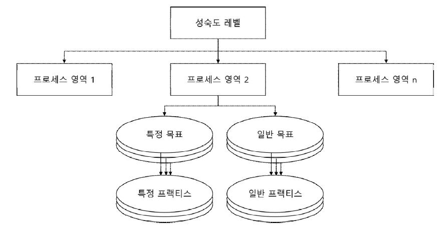 TMMi의 구조