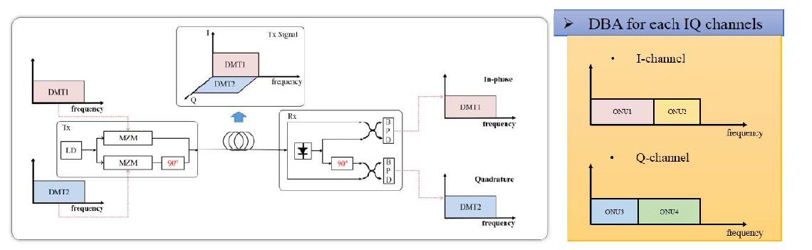 제안된 I/Q 분리형 dual-DMT 전송 및 가변 대역폭 할당 코히어런트 전송 시스템의 구조
