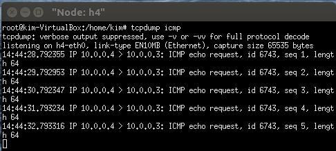 첫 번째 테스트 : h4에서의 icmp echo 요청