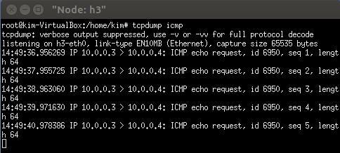 두 번째 테스트 : h3에서의 icmp echo 요청