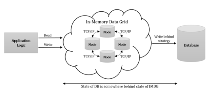 In-memory data Grid(IMDG)의 구조