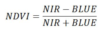 NDVI 산출식