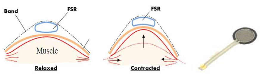 근육 상태 감지 원리 및 필름 방식의 힘센서
