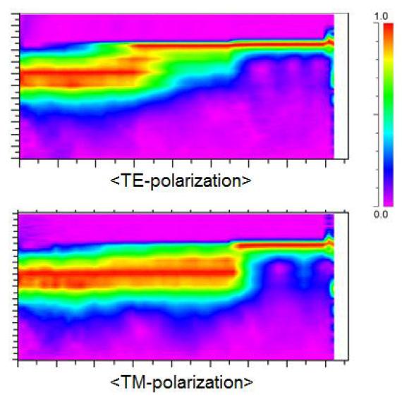 BPM 시뮬레이션을 이용한 도파로 광검출기 내부의 광모드 계산