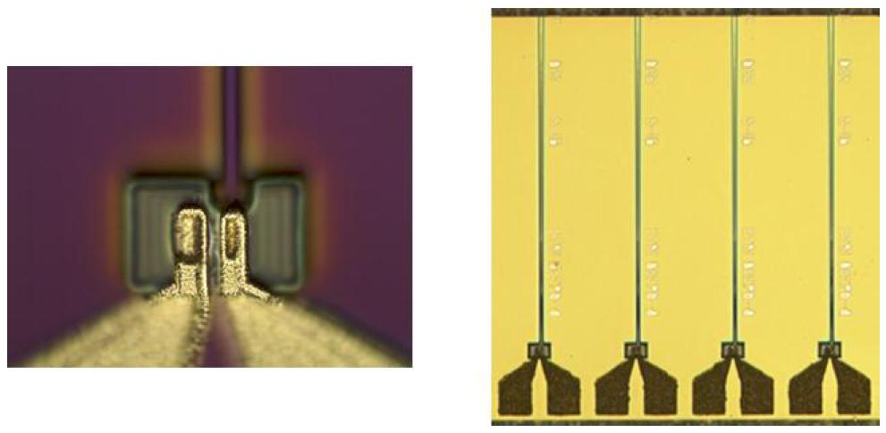 제작한 광검출기 칩 단일(좌), 어레이(우) 현미경 사진