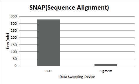 Bigmem을 이용한 SNAP 성능 실험 결과
