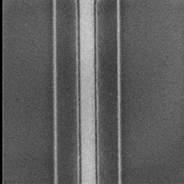 T-gate 정의를 위한 3층 구조의 PMMA/Co-polymer/PMMA 레지스트의 electron-beam 노광후 T-gate 패턴 형상.