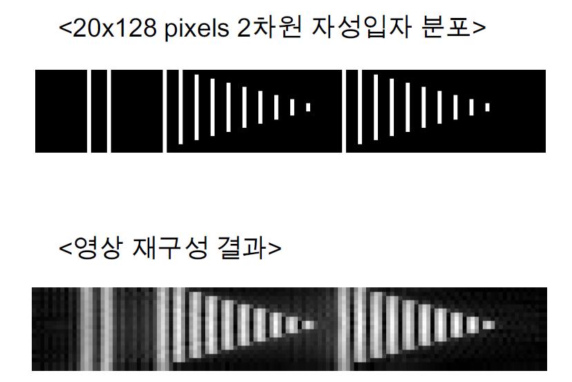 2차원 나노 자성입자 분포에 대한 XIS 복원 영상