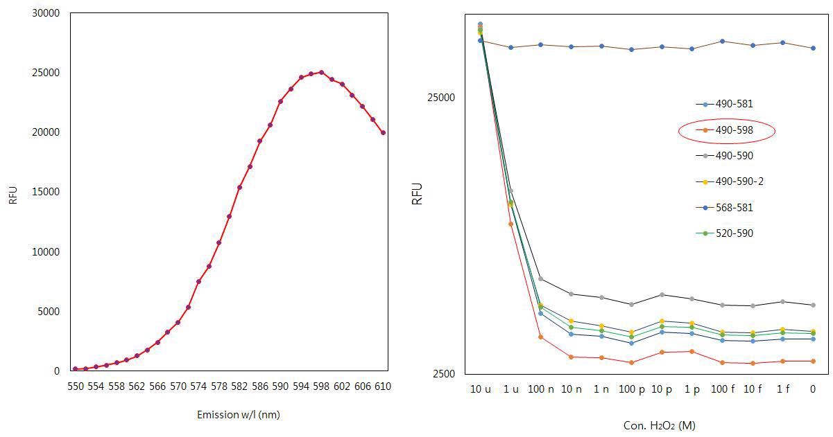 HRP에 의한 반응 과정에서 발생하는 활성산소에 의해 형광물질인 AmplexUltaRed는 590 nm 부근에서 최대치의 형광 emission을 내도록 변화되어, 활성산소의 존재를 확인할 수 있음