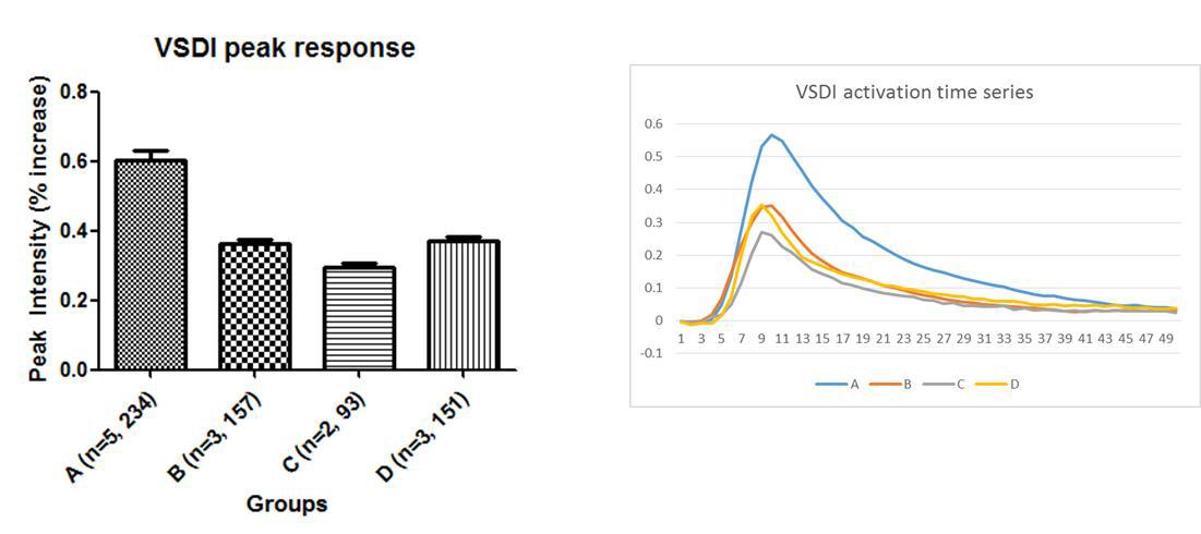 노화 환경에서 증가된 스핑고리피드 대사효소인 acid sphingomyelinase (ASM)에 따른 신경활성의 차이.