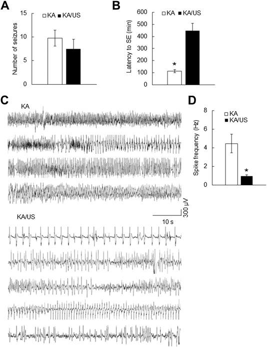 뇌전증 모델 마우스(KA)와 뇌전증 모델 마우스에 초음파 자극을 준 경우(KA/US)의 비교