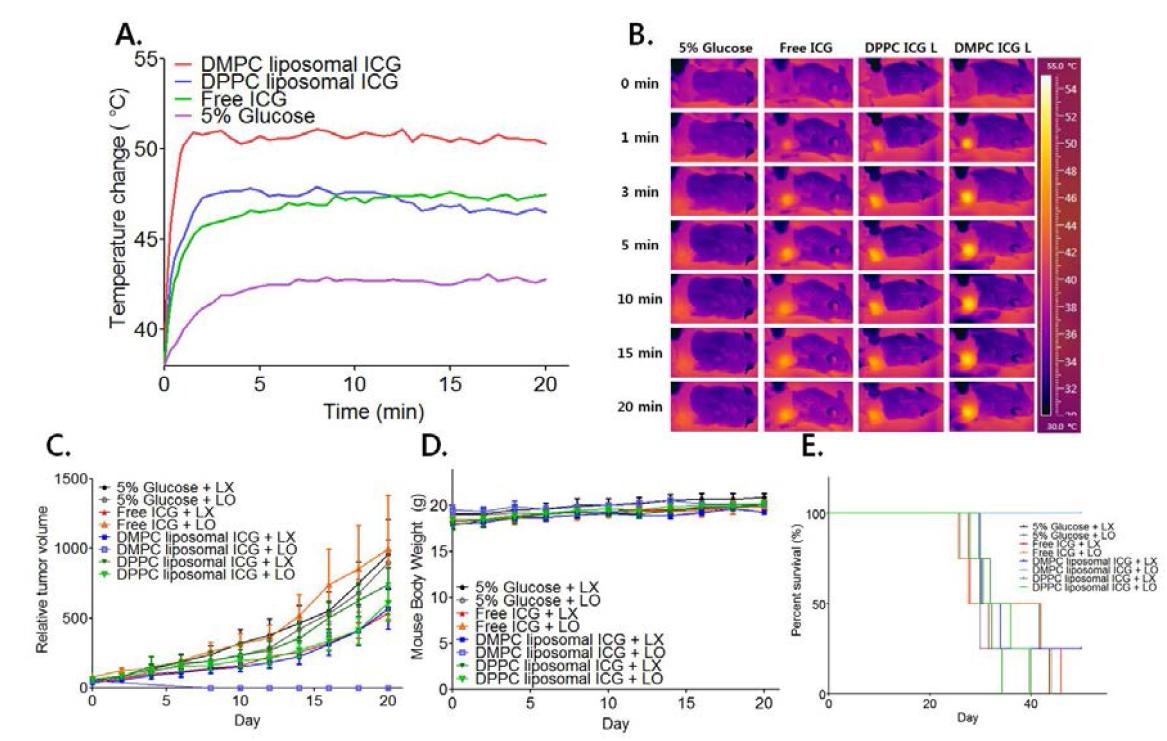 A-B) 리포좀에 포함되지 않은 인도시아닌 그린과 인지질 DMPC 또는 DPPC로 1000:4의 비율로 합성한 리포좀을 동물 암 모델에 주입하고, 30분 후에 근적외선을 조사했을 때의 시간에 따른 열효과를 실시간 분석함. C-E) 각각의 경우 근적외선을 조사한 경우 (LO)와 조사하지 않은 경우(LX)에 2일 간격으로 추적했을 때 암조직의 크기(C), 동물 모델의 체중 변화(D)와 생존 주기(E)를 분석한 그래프.
