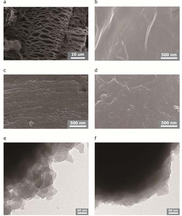 (a) The SEM image and (b) the surface image of sulfur-infiltrated graphene oxides (GO-S), (c) PANI coated GO-S (GO-S@PANI), and (d) GO-S@PANI after curing. The TEM images of (e) GOS@ PANI and (f) GO-S@PANI after curing.