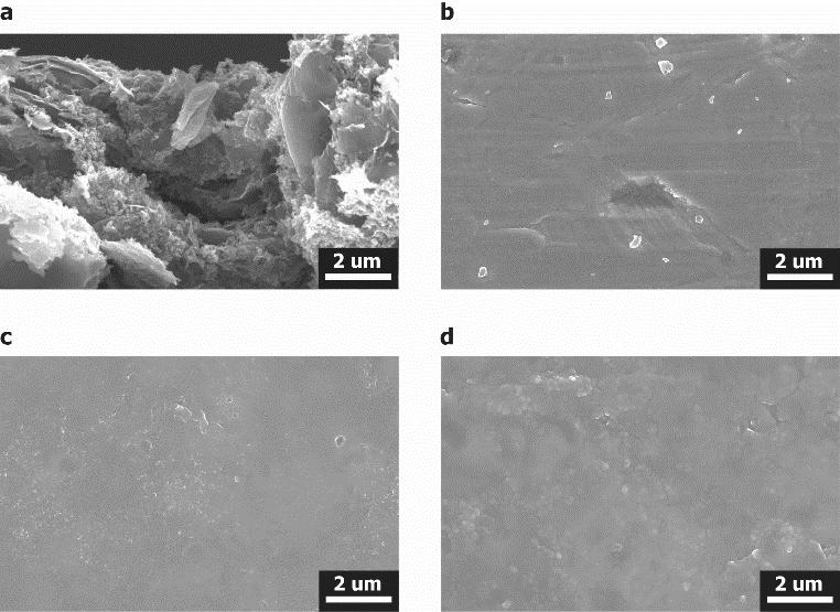 SEM images of (a) the unprinted electrode, (b) the PANI-coated stainless-steel foil, (c) the PANI-printed sulfur electrode, and (d) the PANI-printed electrode after 100 cycles.