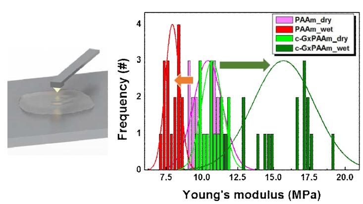 Mechanical property of c-GxPAAm in wet condition by Young’s modulus measurement