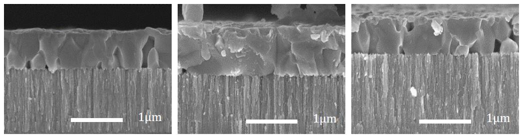 Cross-sectional SEM images of CZTS after annealing at 510 °C (left), 540 °C (center), and 570 °C (right), respectively. The additional Se (~40 mg) is supplied during annealing