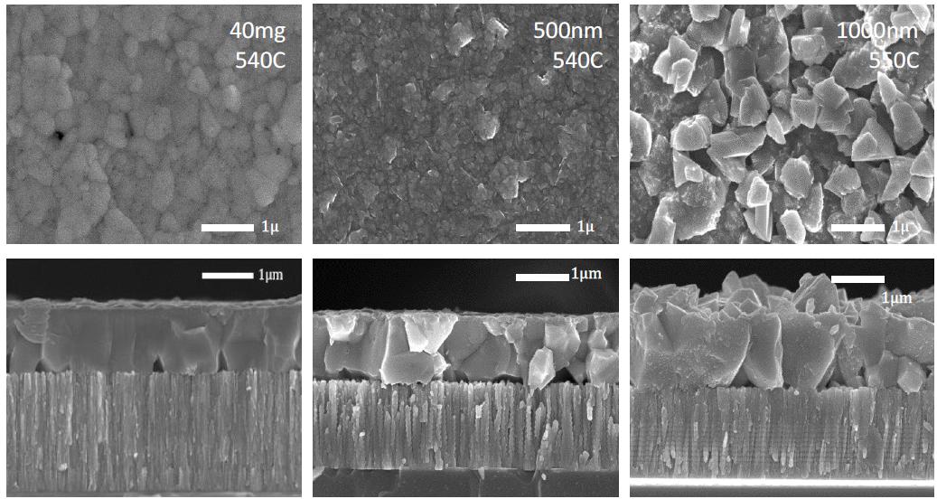 SEM images of CZTS samples after annealing with 40 mg Se (left), 1.64 mg Se (center), and 3.10 mg Se (right), respectively. The annealing temperature is 550°C