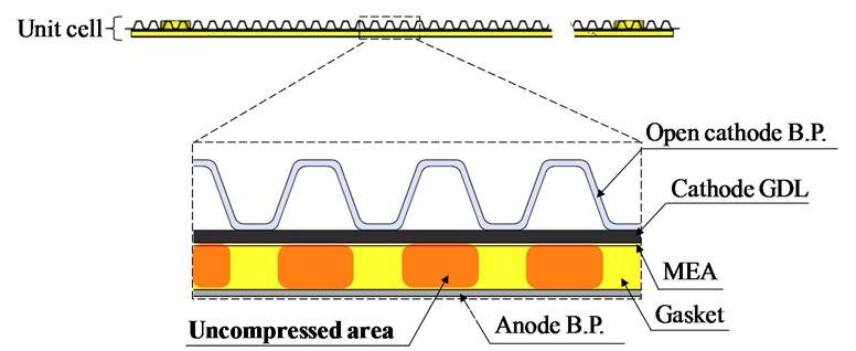 Compacted shape of the open cathode bipolar plates of an air breathing PEMFC with cross flow reactants.