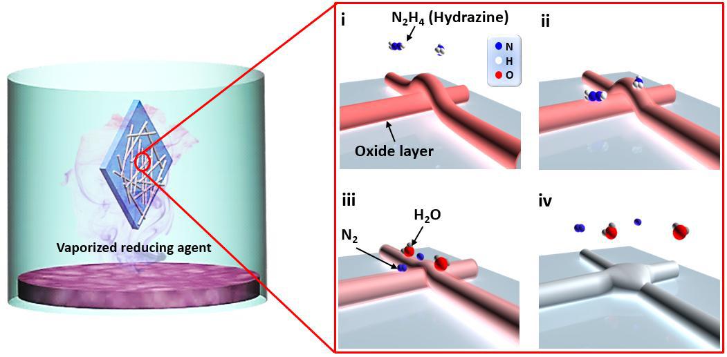 Proposed redox-reation mechanism of the AgNWs