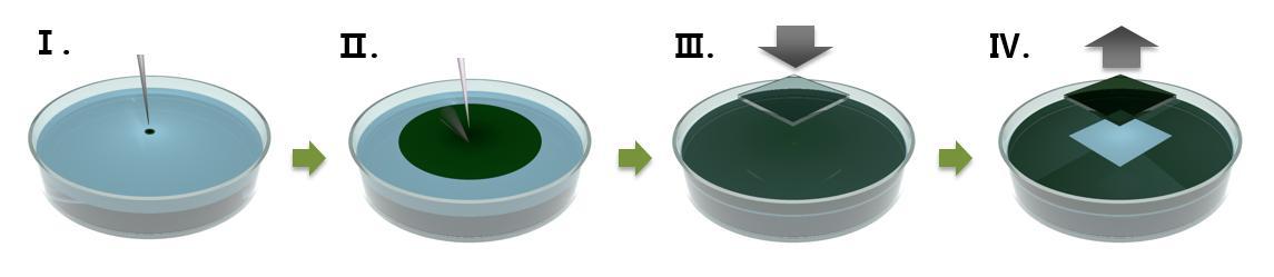 Process of one-step transfer method for organic thin film