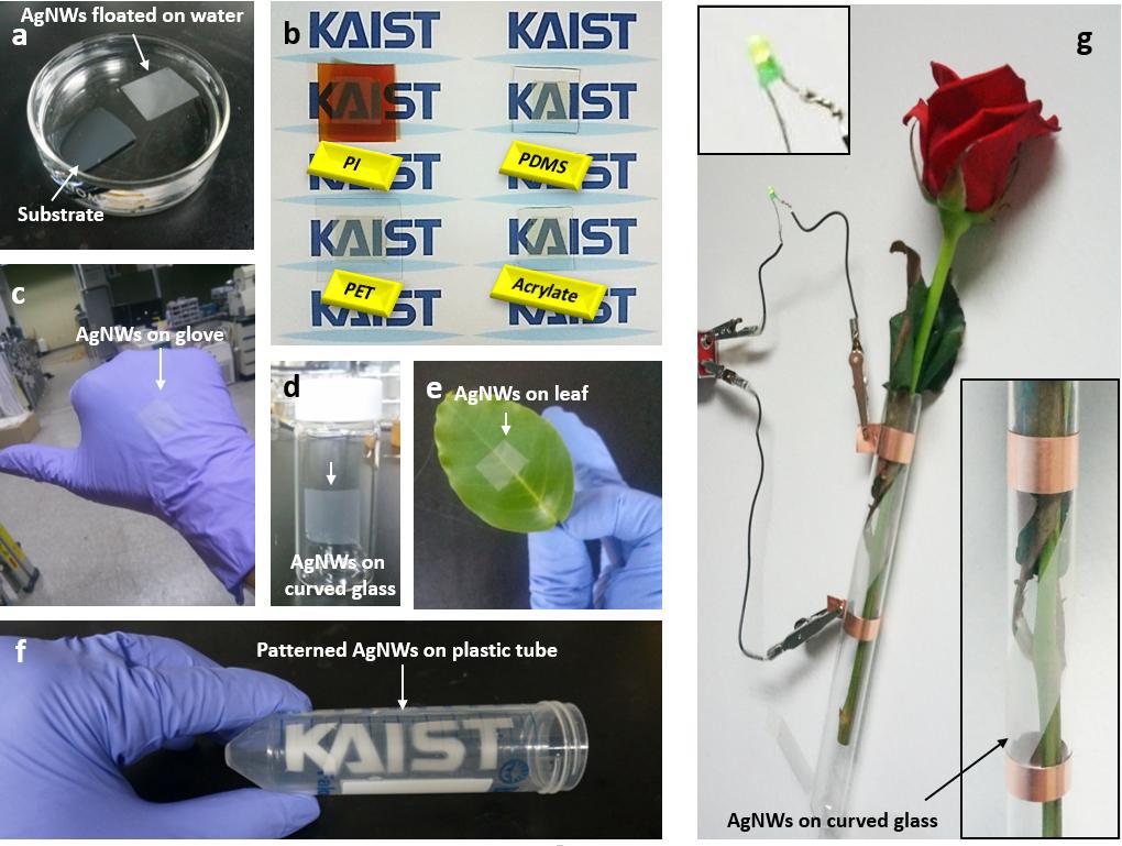 Water transfer method of AgNWs and Transfer application on gloves, polymer substrates, curved glass, leaf and plastic tube.