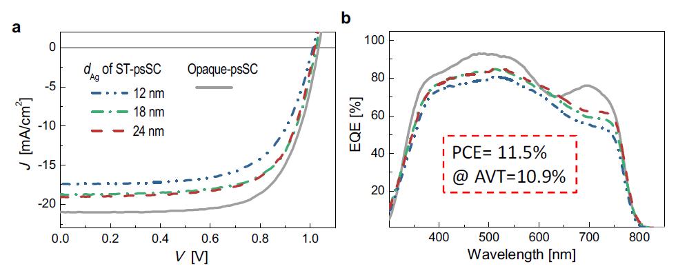 (a) Current density-voltage (J-V) and (b) external quantum efficiency (EQE) characteristics of ST-psSCs based on dielectric-capped MTE consisting of MoOx/ Ag (xnm)/ ZnS for x of 12, 18, and 24 nm and opaque control devices under study