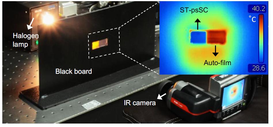 Photograph showing the set-up for demonstrating the efficient heat rejection behavior by a thermal image of both auto-film (CS5) and ST-psSC (dAg = 24 nm) after being illuminated by a halogen lamp for one minute. High temperature up to 40°C is observed at the auto-film due to its large absorption in NIR, whereas STpsSC stayed in a “cool” state.