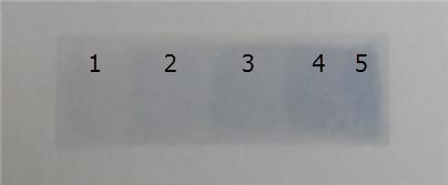 Multilayer transferred PH 1000 electrode (Number : transferred times)