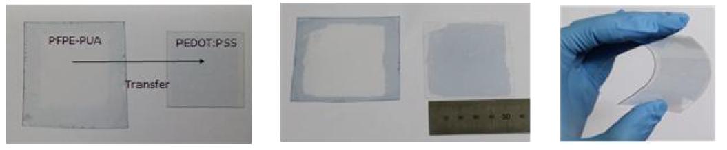 Stamping transferred PH 1000 electrode on the flexible substrate