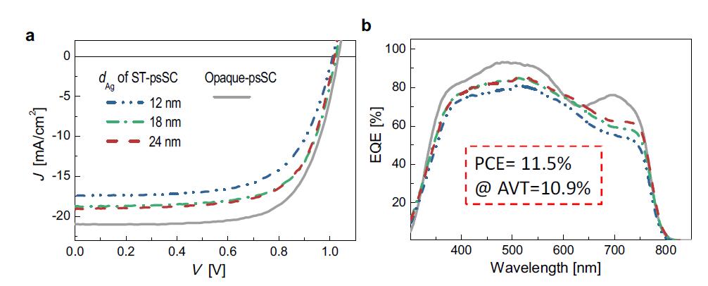 본 과제에서 제안한 CH3NH3PbI3 기반의 12nm, 18nm, 24nm 두께의 Ag층을 갖는 MoOx/ Ag/ ZnS를 상부 전극으로 사용한 불투명과 반투명 태양전지의 (a) 전류-전압 및 (b) 외부양자효율 특성