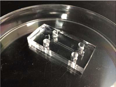 A completed microfluidic chip made of a cover glass and a PDMS chip fabricated by a silicon wafer master and soft lithography