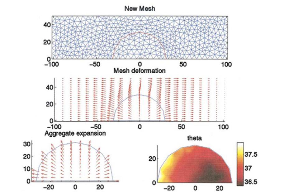 A biofilm model where biofilm is hyper-elastic. The unis on the graph are micrometer