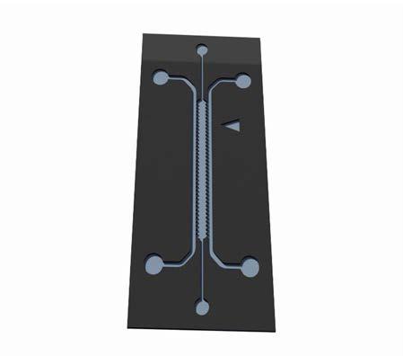 Microfluidic chip used in simulations