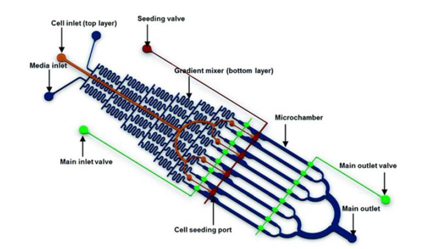 PDMS-based two-layer microfluidic flow cell.