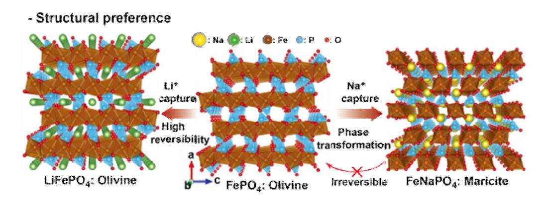 Structural preference of FP during Li- or Na-ion captures