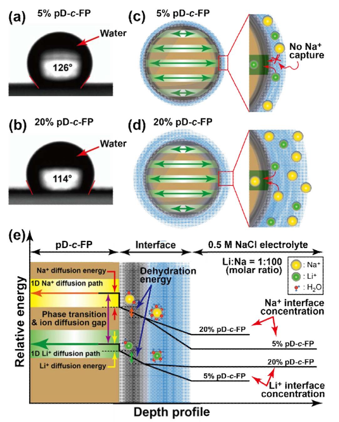 (a), (b) Contact angle change with the coated-pD concentration, (c), (d) Schematic of ion-insertion with the wettability effect, (e) A graphical illustration of cation insertion with different coated-pD concentrations