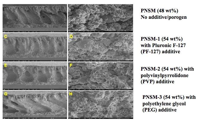 고분자 첨가제를 활용한 막오염 저항 In situ PEGylated PEI 입자복합 막오염 저항 UF막의 Field Emission Scanning Electron Microscopy (FESEM) 사진